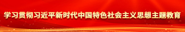 男人操女人的BB视频学习贯彻习近平新时代中国特色社会主义思想主题教育